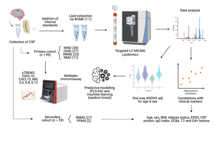 A diagram of a scientific experiment

Description automatically generated with medium confidence